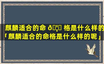 麒麟适合的命 🦈 格是什么样的「麒麟适合的命格是什么样的呢」